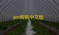 am剪辑中文版